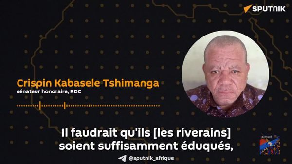 Comment mettre fin à l'agriculture d'exportation imposée par le colonialisme au bassin du Congo? Avis d'un politicien congolais - Sputnik Afrique