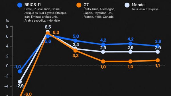 Le PIB des BRICS a augmenté presque 2 fois plus vite que celui du G7, alors que les quotas du FMI restent inchangés - statistiques - Sputnik Afrique