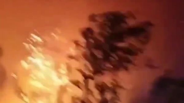 Incendie sur l'île de Brač en Croatie: 4 - Sputnik Afrique