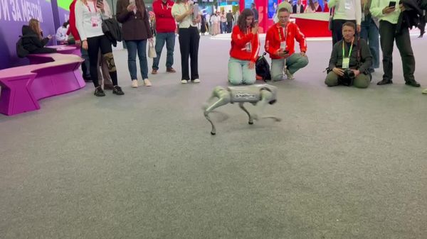 Russian Technology on Display: The Chatty Robot Winning Hearts at the World Youth Festival - Sputnik Africa