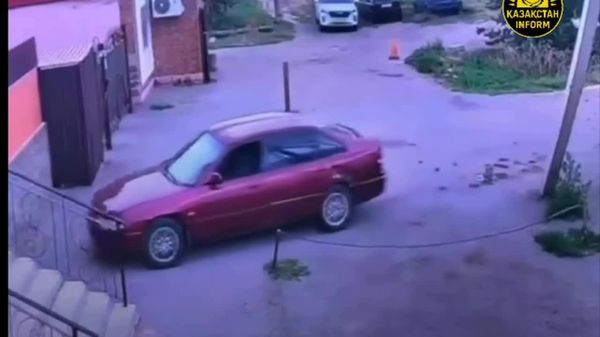 Feline Joyride: Cat Causes Car Accident in Kazakhstan - Sputnik Africa