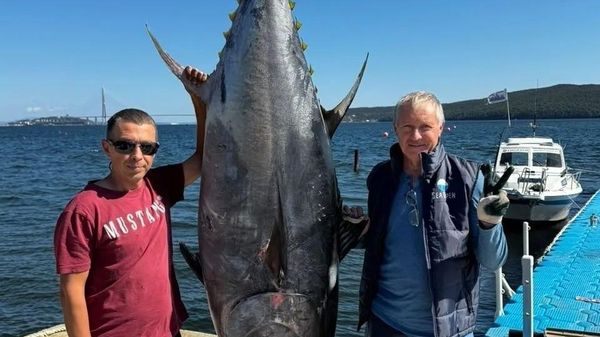 Un pêcheur a sorti un thon colossal d'une baie de la ville russe de Vladivostok - Sputnik Afrique