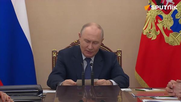 Putin: Russian economy maintains stability amid global pressure - Sputnik Africa