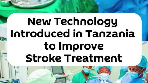 Tanzania Introduces Advanced Technology for Stroke Treatment - Sputnik Africa