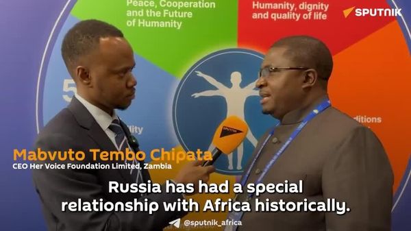 Africa Seeks Expanded Industrial Ties with Russia at Upcoming Russia-Africa Summit: CEO of Zambian Foundation - Sputnik Africa