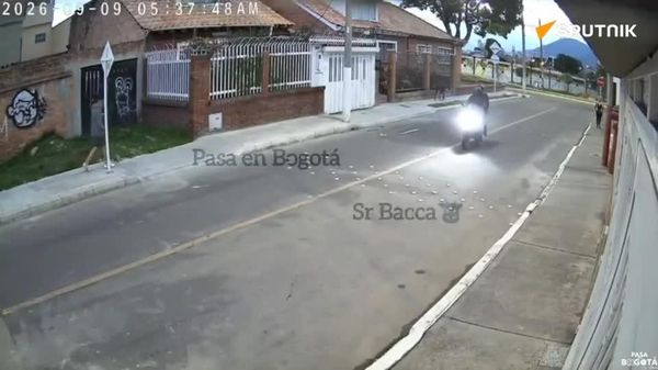 Furry Bodyguard: Dog Saves Owner From Knife-Wielding Thief in Colombia - Sputnik Africa