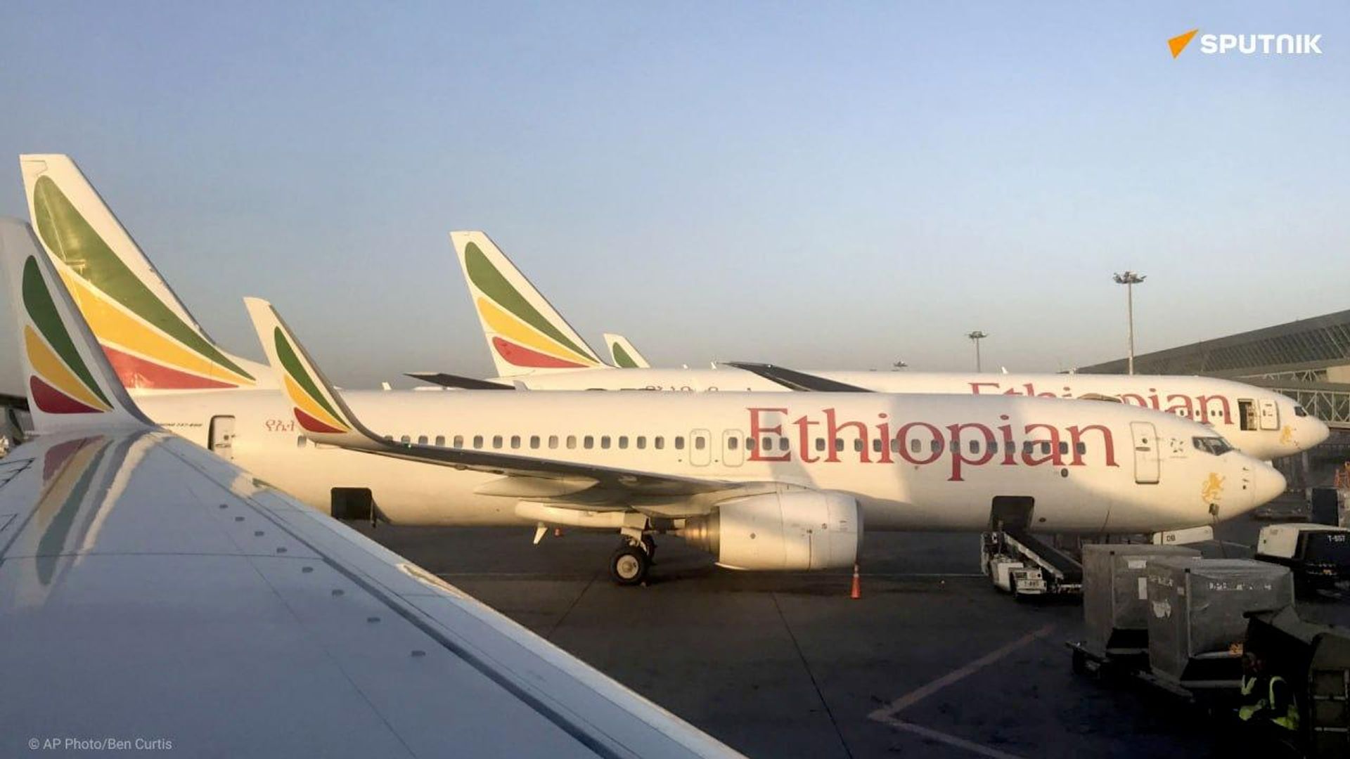 Les compagnies aériennes africaines progressent dans le classement Skytrax 2026 Les compagnies aériennes africaines progressent dans le classement Skytrax 2026 - Sputnik Afrique, 1920, 20.09.2026