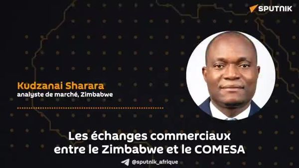 Le Zimbabwe doit miser sur l'industrialisation et valoriser ses produits pour dynamiser les échanges au sein du COMESA, selon un expert - Sputnik Afrique