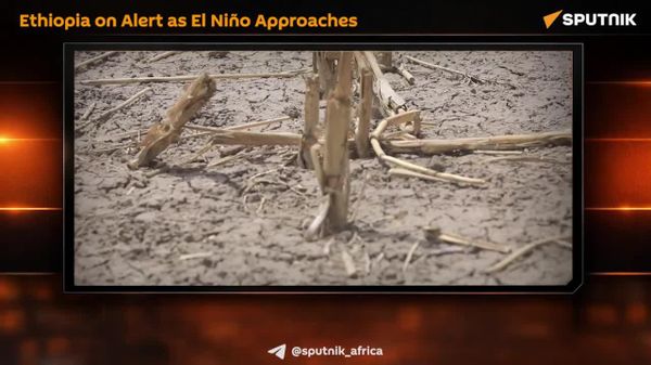 El Niño Looms: Ethiopia Prepares - Sputnik Africa