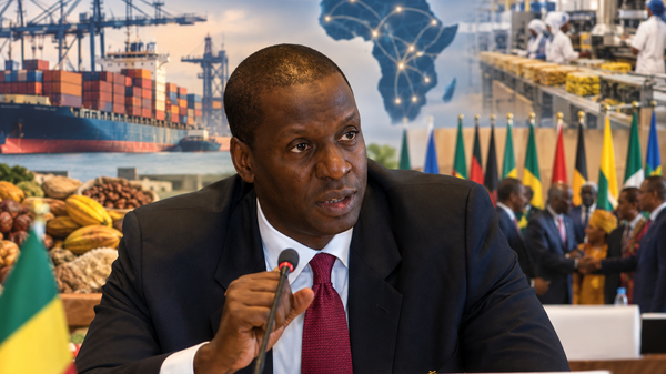 Protocole de São Paulo: une opportunité commerciale, mais surtout un défi pour l’Afrique - Sputnik Afrique