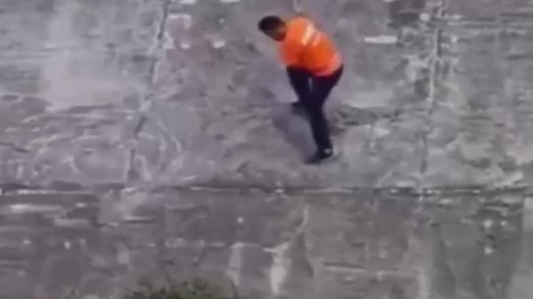 Heroic Rescue: Dog Saved From Drainage Channel in Mexico - Sputnik Africa
