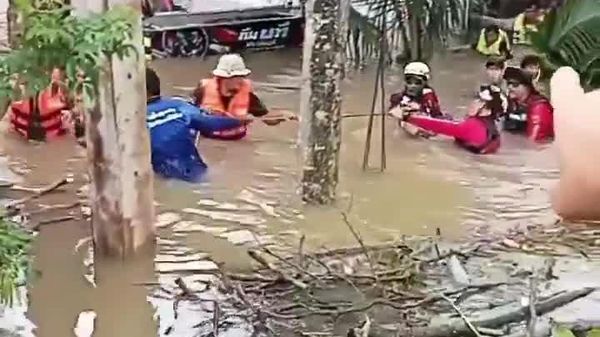 400kg Crocodile Evacuated From Flooded Thai Temple, Moved to Temporary Shelter - Sputnik Africa