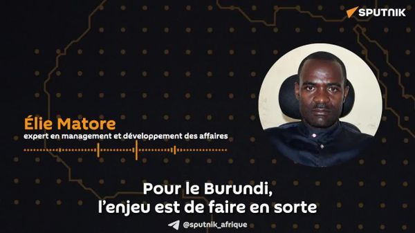 Sommet Russie-Afrique: le continent ne doit pas dépendre d’un nombre limité de partenaires, selon un économiste - Sputnik Afrique