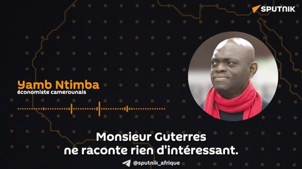 Faire des affaires avec l'Afrique: le sommet Unstoppable Africa de New York verse dans l'ultralibéralisme pur et dur, selon un économiste camerounais - Sputnik Afrique