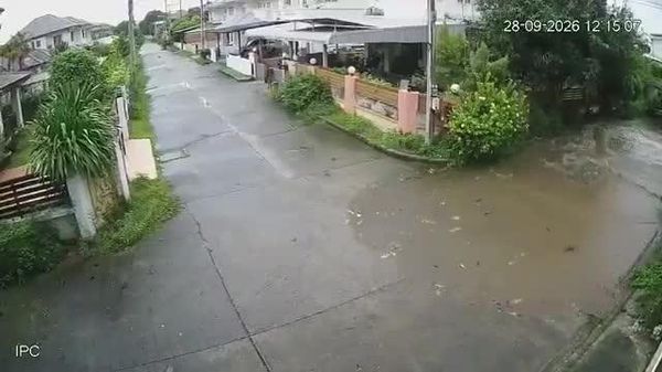 When Nature Says 'Move' — Thailand's Flash Flood Gave Residents No Warning at All - Sputnik Africa