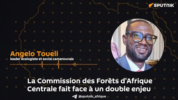 L'Afrique Centrale doit gérer ses forêts sans négliger la survie des populations qui y vivent, selon un expert camerounais - Sputnik Afrique