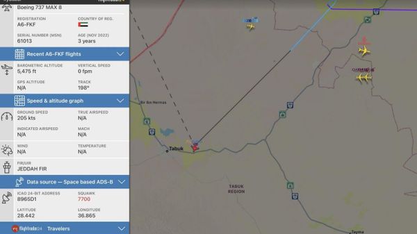 Suspicion de détournement d'un avion avec au moins 150 passagers à bord - médias israéliens - Sputnik Afrique