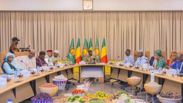 Mali: derrière les 164,4 milliards de FCFA, le défi de la modernisation agricole - Sputnik Afrique
