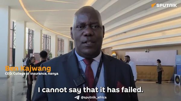 Africa Can Now Lend Capital to Countries Outside Africa: Kenyan Expert - Sputnik Africa