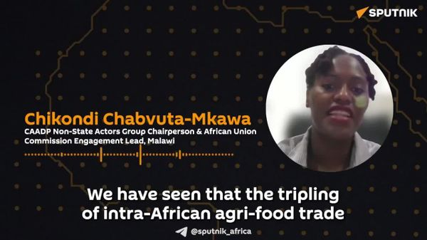 Africa Cannot Feed Itself 'if It Cannot Fully Speak for Itself': Malawian Expert - Sputnik Africa