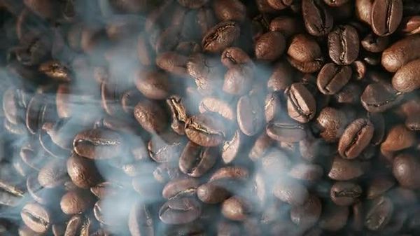 Uganda Moves to Boost Its Global Coffee Standing at Swiss Forum: Statement - Sputnik Africa