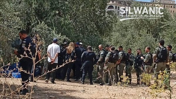 L’armée israélienne au milieu des oliviers: la récolte en Cisjordanie tourne à l’affrontement - Sputnik Afrique