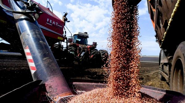 La Russie est prête à fournir tout ce qui est nécessaire à la sécurité alimentaire de l'Afrique, selon le ministre russe de l'Énergie - Sputnik Afrique