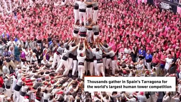 Concours de tours humaines: le plus léger gagne le dernier étage - Sputnik Afrique
