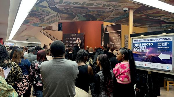 Stenin Contest Winners' Exhibition Opens in South Africa's Durban for First Time - Sputnik Africa
