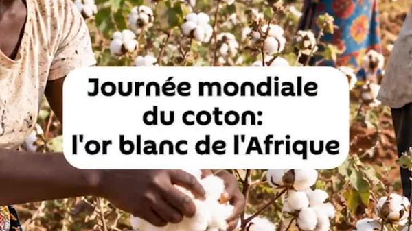 De l’ombre de l'esclavage à l’or blanc de la prospérité - Sputnik Afrique
