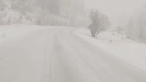 Un conte de fées hivernal s'est installé dans l'Altaï russe: la première neige est tombée dans la région - Sputnik Afrique