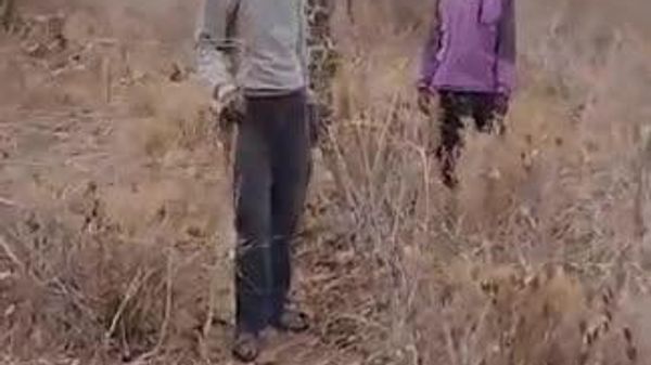 Saved in Savanna: Two African Shepherds Reportedly Care for Lost Baby Giraffe - Sputnik Africa
