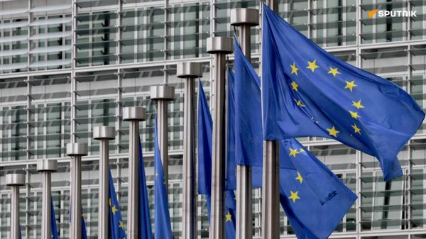L'UE tente de reprendre un mécanisme de l'Otan avant un possible changement de pouvoir en France et en Allemagne - un eurodéputé aux médias russes - Sputnik Afrique