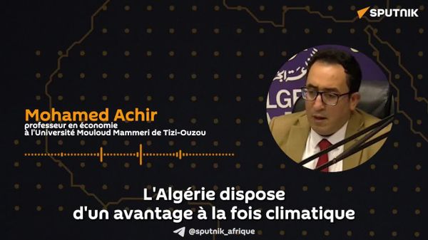 Les entreprises russes accordent un intérêt croissant à l'investissement en Algérie dans le domaine de l'agriculture – universitaire algérien - Sputnik Afrique