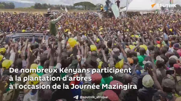 Le Kenya plante 5,3 millions d’arbres à l’occasion de la Journée Mazingira - Sputnik Afrique