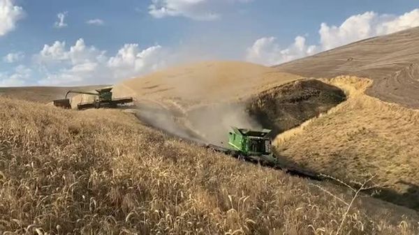 Sécurité alimentaire: la production de céréales en Russie dépasse la consommation nationale de plus de 70% - Sputnik Afrique
