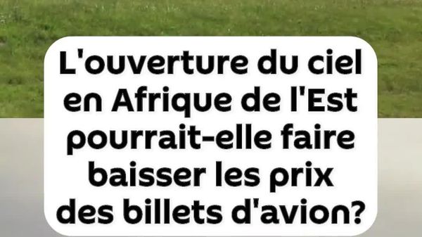 L'espace aérien unifié en Afrique de l'Est fera-t-il baisser les prix des billets d'avion? - Sputnik Afrique
