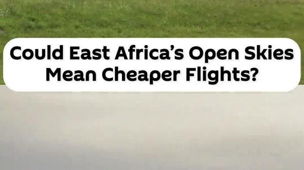 Will East Africa's Open Skies Policy Lead to Lower Airfares? - Sputnik Africa