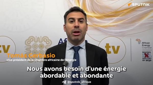 L'Afrique s'affirme comme un pôle d'investissement énergétique sûr - vice-président de la Chambre africaine de l'énergie - Sputnik Afrique