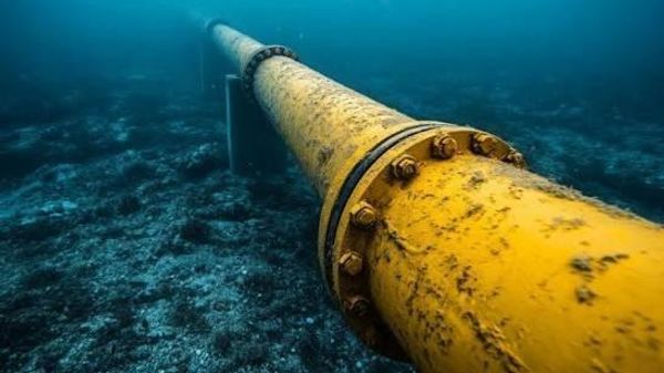 Sabotage des Nord Stream: l'Allemagne pourrait revoir sa politique envers l'Ukraine - Sputnik Afrique
