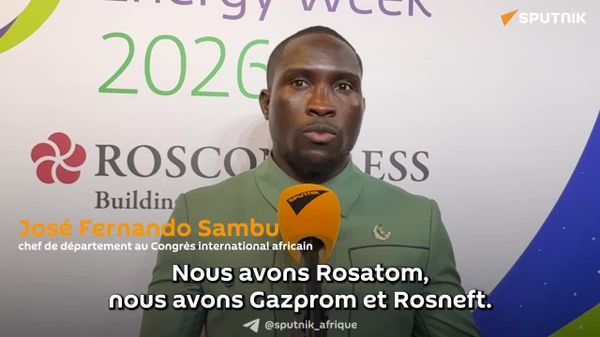 Les stages et le mentorat pour étudiants dans le secteur énergétique russe peuvent profiter à l’Afrique - Sputnik Afrique