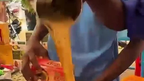 Revivez le premier Salon national de la gastronomie au Niger - Sputnik Afrique