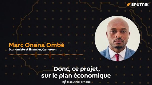 Vers la souveraineté industrielle: le Cameroun mise sur la transformation locale du bois - Sputnik Afrique