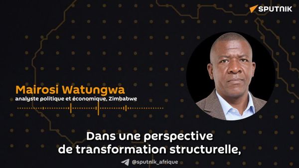 Le partenariat Zimbabwe-Russie offre un potentiel transformateur, selon un analyste zimbabwéen - Sputnik Afrique