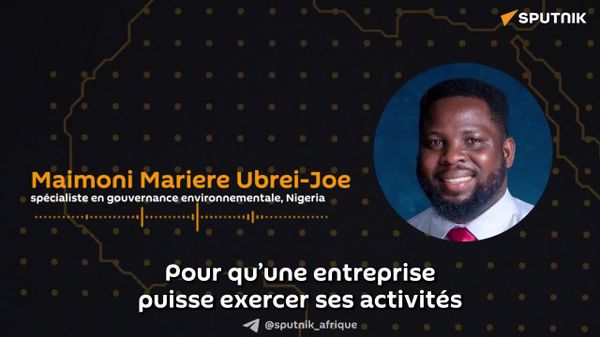 Multinationales en Afrique: un expert nigérian dénonce la mentalité coloniale et les doubles standards - Sputnik Afrique