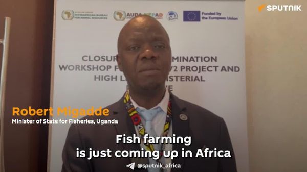 Africa Must Expand Fish Farming to Boost Its Share of Global Markets: Ugandan Fisheries Minister - Sputnik Africa