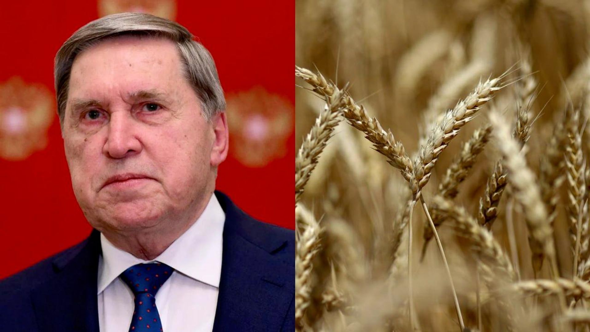 La Russie a déjà exporté 13 millions de tonnes de céréales vers l'Afrique en 2026 - un conseiller de Poutine La Russie a déjà exporté 13 millions de tonnes de céréales vers l'Afrique en 2026 - un conseiller de Poutine - Sputnik Afrique, 1920, 26.10.2026