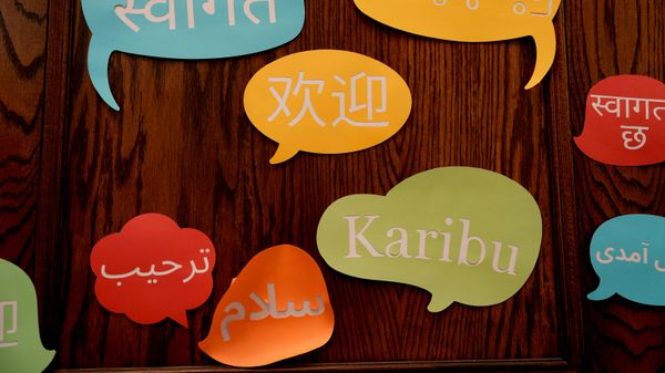 'Languages Don't Die by Accident—They Are Killed by Specific Forces': Ethiopian Scholar on Preserving Minority Languages - Sputnik Africa