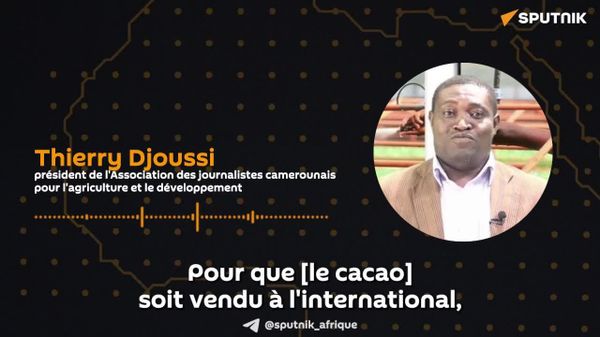 Cacao bio au Cameroun: Le petit producteur pourrait gagner de l'argent avec ce programme, s'il est éligible – expert - Sputnik Afrique