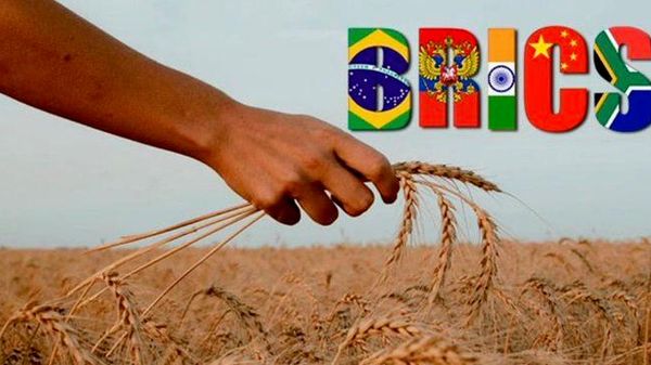 L'Afrique s'impose comme l'un des principaux vecteurs de développement des BRICS pour les décennies à venir, selon Moscou - Sputnik Afrique
